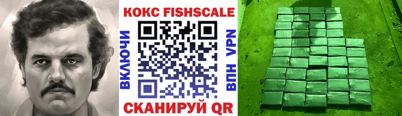 Cocaine Fish Scale  купить   mega ССЫЛКА  Буинск 