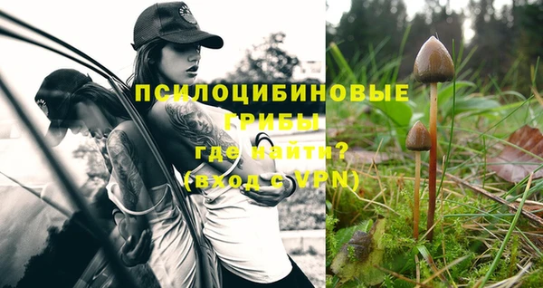прущая мука Баксан