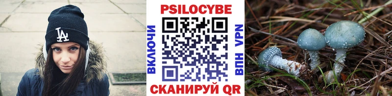 Псилоцибиновые грибы прущие грибы  гидра онион  Буинск 