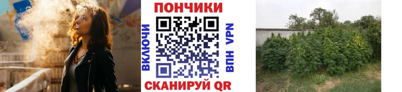 shop какой сайт где купить наркоту Буинск Канабис Bruce Banner гидра рабочий сайт